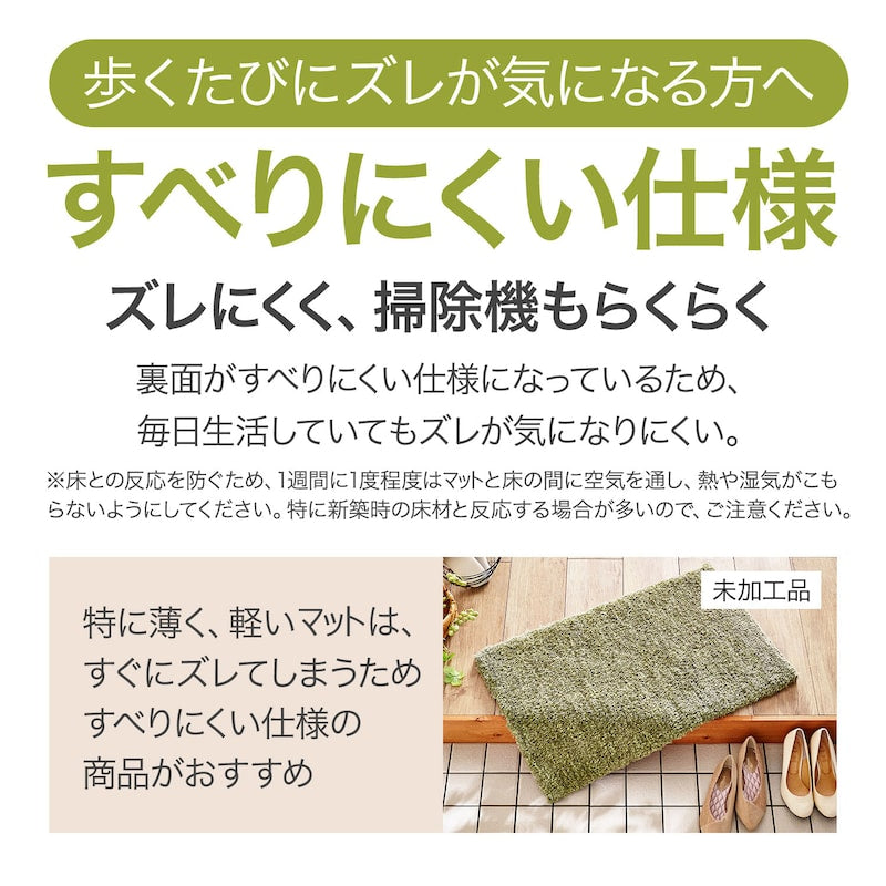 Entrance Mat 玄関マット260414-9